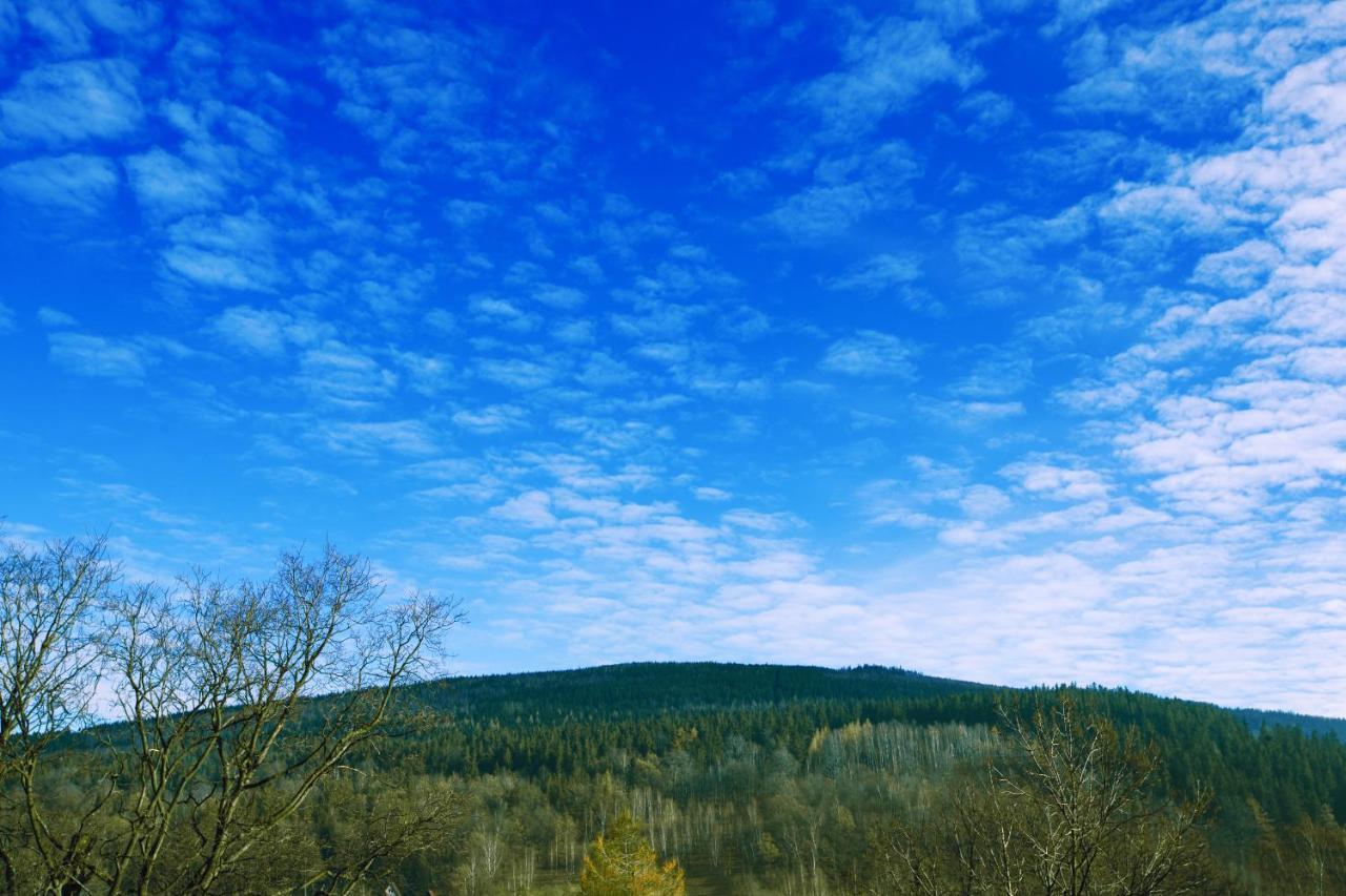 Willa Ostoja Wellness Świeradów-Zdrój Exterior foto